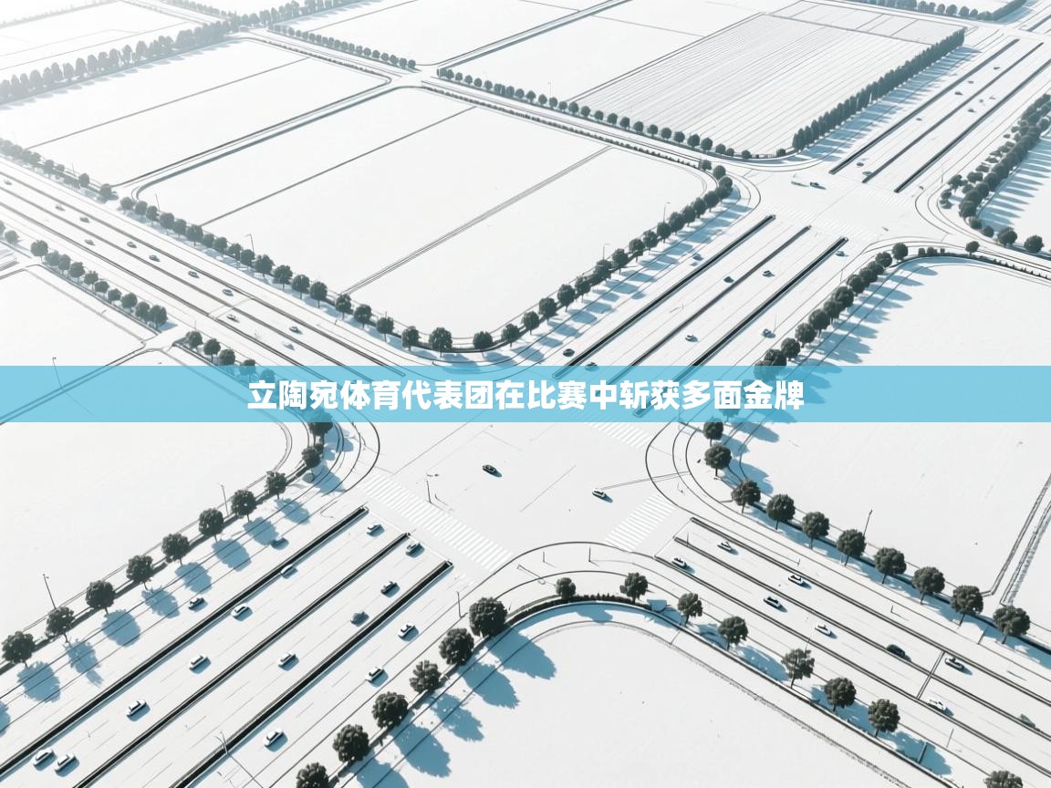 立陶宛体育代表团在比赛中斩获多面金牌  第2张