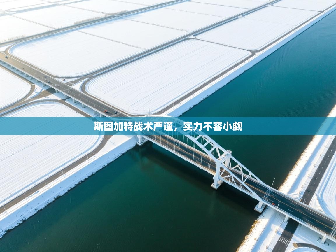 斯图加特战术严谨，实力不容小觑