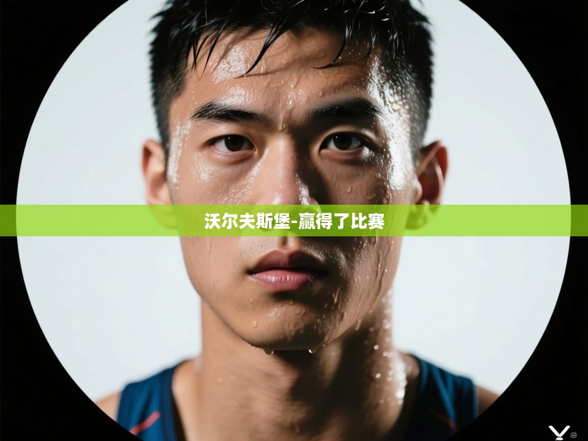 沃尔夫斯堡-赢得了比赛